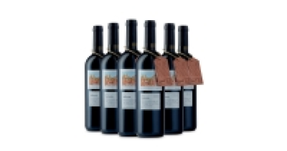 Aldi  Lot 09 Toscana 2014