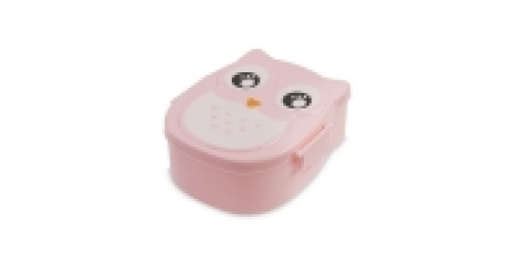 Owl Kids Lunch Box