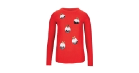 Ladies Christmas Pudding Jumper
