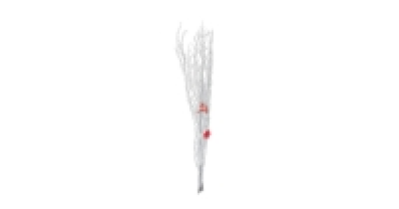 Festive Birch White/Red