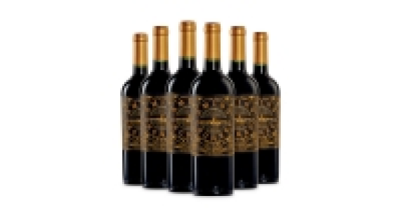 Organic Chilean Syrah Carignan £41.94