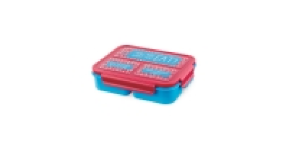 3 Section Lunch Box