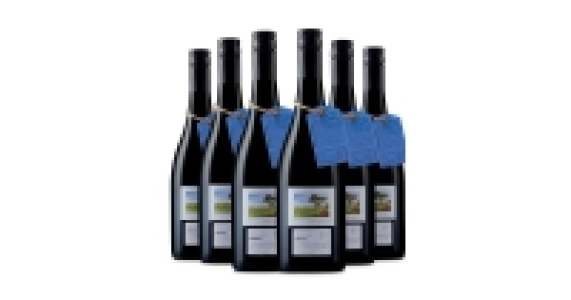 Lot 17 Wrattonbully Shiraz