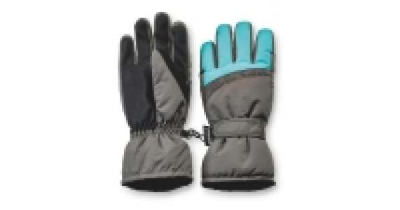 Ladies Technical Ski Gloves