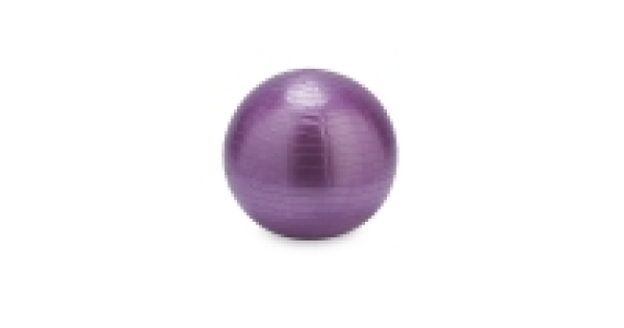 65cm Gym Ball - Berry