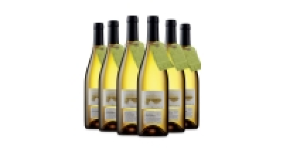 Lot 21 Argentinian Chardonnay