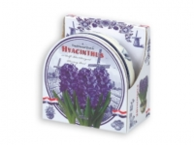 Flowering Bulbs in Ceramic Bowl £2.99