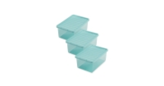 Tinted Shoe Box 3-Pack
