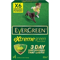 Wilko  Evergreen Extreme Green 80m2 2.8kg