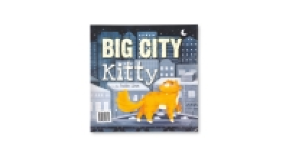 Big City Kitty Story Book