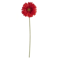 Wilko  Wilko Gerbera Flower Red/Black Single