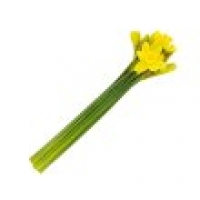 Tesco  Daffodils Bunch
