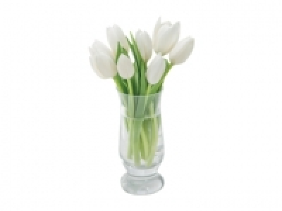 Tulips £2.00