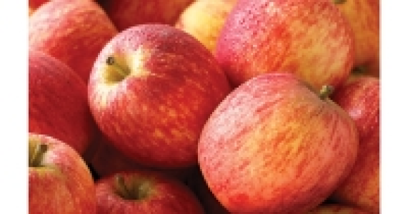 Royal Gala Apples