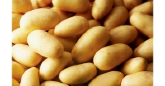 Charlotte Potatoes