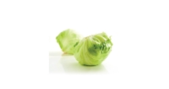 Iceberg Lettuce