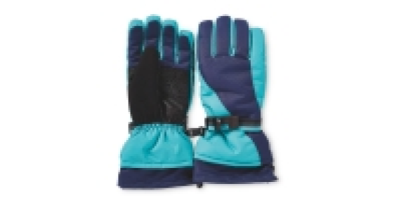 Ladies Ceramic/Blue Ski Pro Gloves
