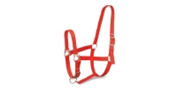 Pony Horse Head Collar