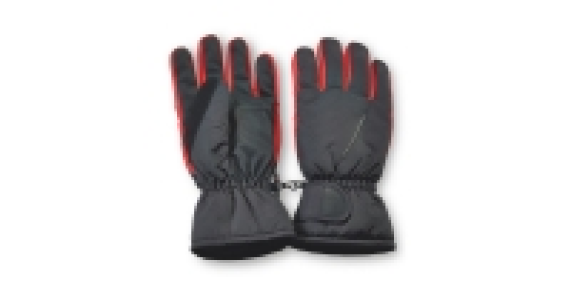 Mens Technical Ski Gloves £4.99