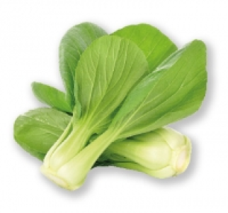 Pak Choi £1.29