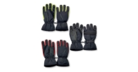 Mens Technical Ski Gloves £4.99