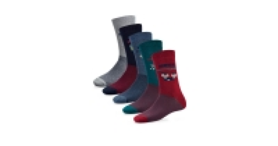 Hair of the Dog Socks 5 Pack