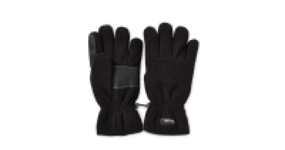 Thinsulate Gloves