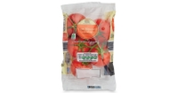 Large Vine Tomatoes