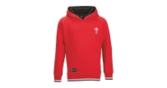 Childrens Rugby Hoody Wales