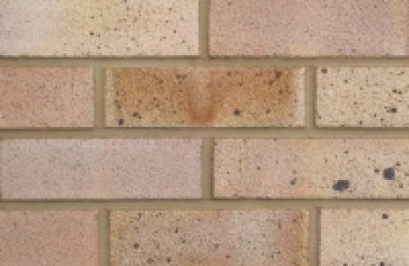 Lbc Dapple Light Facing Brick 65mm £1.09