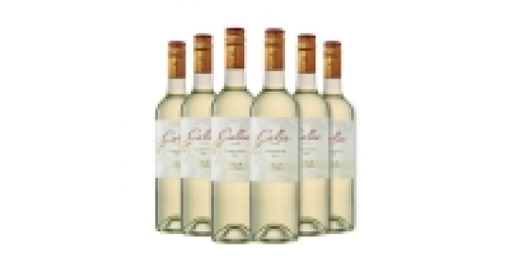 San Juan Torrontes