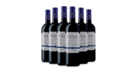 Exquisite Bordeaux Ch Peyredoulle