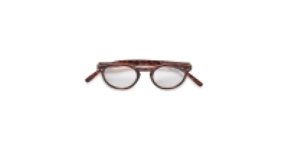 Brown Reading Glasses