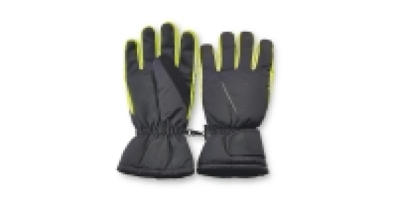 Mens Technical Ski Gloves £4.99