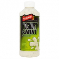 Poundland  Crucials Yoghurt & Mint 500ml
