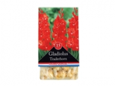 Autumn Flowering Bulbs £1.29