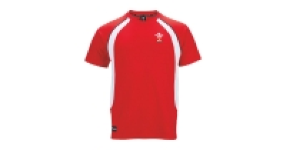 Mens Rugby T-Shirt Wales £6.99