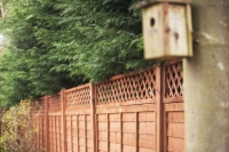 Wickes Fence Top Trellis Diamond Lattice Autumn Gold 1.83m x £17.99