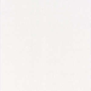 Graham & Brown Paintable Blown Wallpaper All Over Stipple 10 £7.98