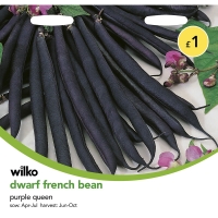 Wilko  Wilko Seeds Dwarf Bean Purple Queen