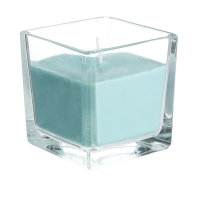 Wilko  Wilko Candle Square Glass Jar Blue Passionfruit 30 Hours Bur