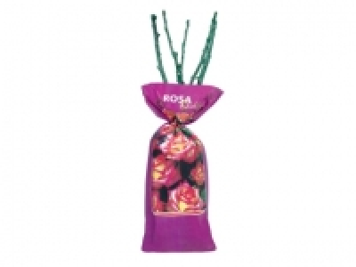 Garden Roses £1.99