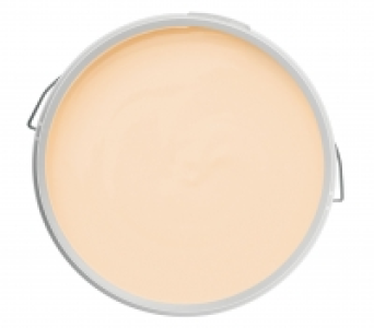 Wickes Smooth Masonry Paint Barley 5L £25.99