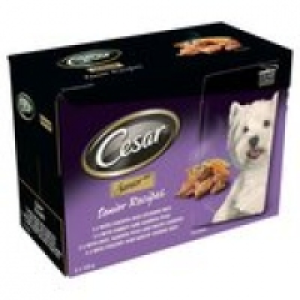 Cesar Senior 10 + Recipes