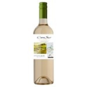 Cono Sur Sauvignon Blanc &pound;5.50