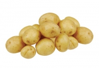 Budgens  Baby Potatoes