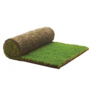 Rolawn Medallion Grass Turf Roll 1m2 £6.99