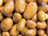 Lidl  British Baking Potatoes