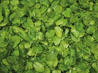 Spinach £0.69