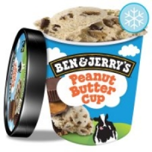 Ben And Jerrys Peanut Butter Cup Ice Cream 500Ml